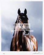 A Mark Harvey limited edition photograph of the racehorse Frankel,