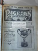 A bound volume of Pigeons and Pigeon World weekly newspaper,
