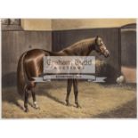 After Alfred Charles Havell (1855-1928) THE RACEHORSE “BEND OR” colour lithograph signed by the