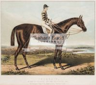 Victorian colour lithograph of Iroquois the 1881 Derby & St Leger winner with Fred Archer up,