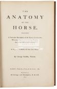 George Stubbs "The Anatomy of the Horse", 3rd edition, 1899, published by Gibbings & Company,