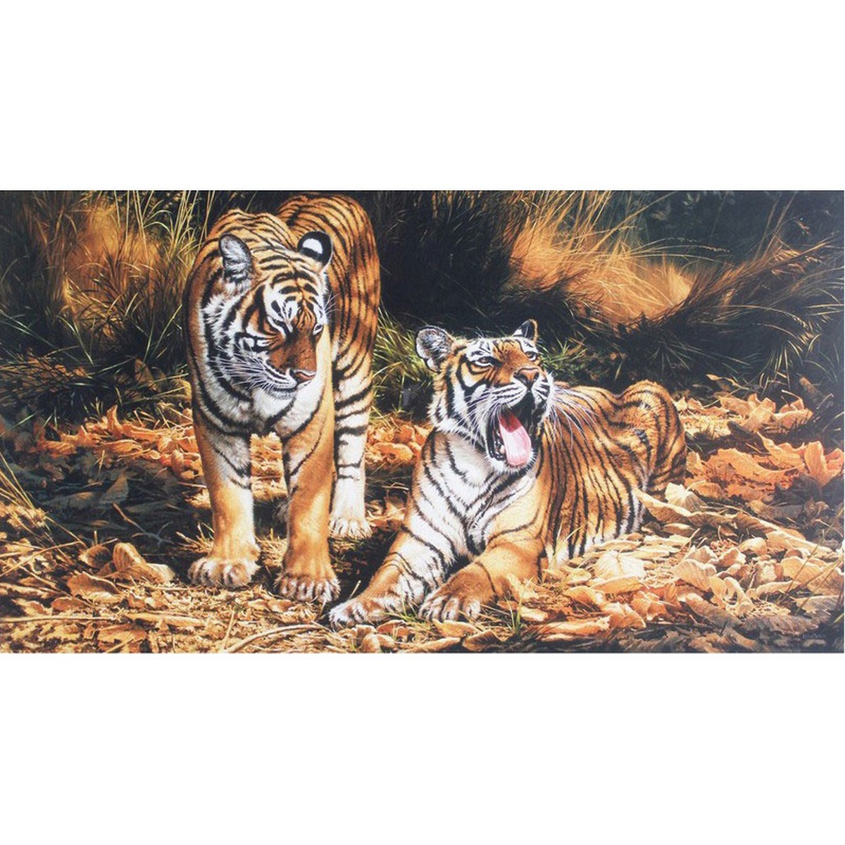 Jackson, Michael b1961 British AR, Tigers.