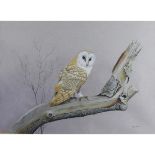 Flood, Rex Grattan b1928 British AR, Barn Owl.