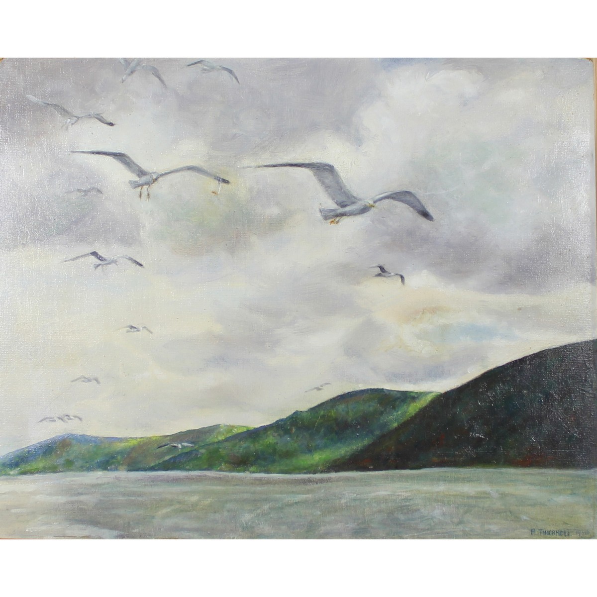 Thurrel P, Twentieth Century British, Seagulls.