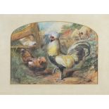Hunt, William 1790-1864 British, The Master of his Realm, a very handsome Cockerel and Chickens.