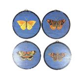 A set of four butterfly micro mosaic plaques, probably Italian, 19th century.