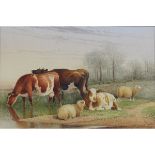 Cooper, Thomas Sydney 1803-1902 British - Rural scene with Livestock depicting Cows and Sheep in a