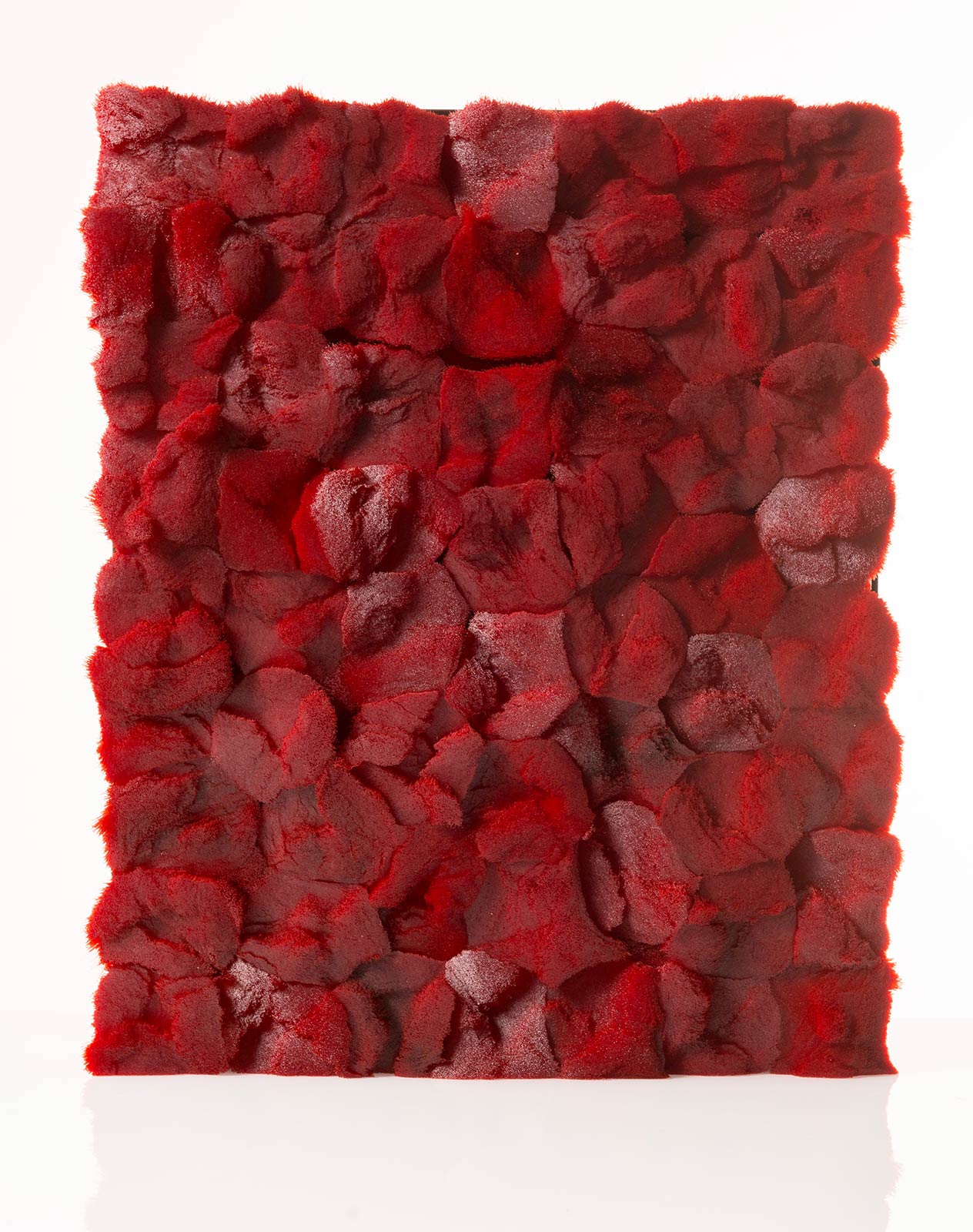 Francesca Pasquali (Bologna 1980), “Setole Rosse”, 2012.