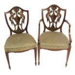 AN EDWARDIAN SATINWOOD AND PAINTED DINING ARMCHAIR AND HAND CHAIR the vase shaped carved backs