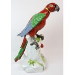 A CHELSEA STYLE PARROT modelled on naturalistic tree base, the parrot with gilded collar to neck,