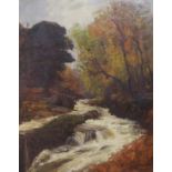 ALEXANDER BROWNLIE DOCHARTY (SCOTTISH 1862-1940) ROCKY FALLS IN AUTUMN WOODS Oil on canvas,