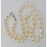 A STRING OF GRADUATED PEARLS WITH A 9CT CLASP largest pearl 9.5mm x 10mm to smallest pearl at 6.8mm.