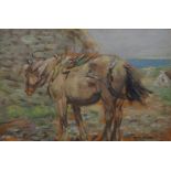 GEORGE SMITH RSA (SCOTTISH (1870-1934) BARRA PONY, HEBRIDES Oil on panel, signed, 16.5 x 24.5cm (6