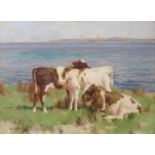 DAVID GAULD RSA (SCOTTISH 1865-1936) AYRSHIRE CALVES BY THE SEA Oil on canvas, signed, 76 x 101.