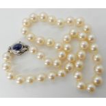A string of cultured pearls with a 14k white gold and sapphire clasp, each pearl approx 8mm,