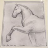 NICHOLWHEATLEY Horse studies and nude studies, signed, pencil, 28 x 23cm and 18 x 16cm (4) Condition