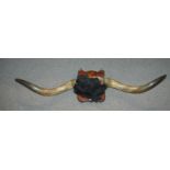 A large pair of mounted cow horns Condition Report: Available upon request