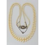 A double string of cream tapered pearls with good lustre and a silver clasp, largest pearl approx