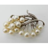 A 14ct white gold pearl set brooch, 5.5cm x 3.6cm, weight 12.6gms Condition Report: Available upon
