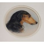 BRITISH SCHOOL Portrait dog head, watercolour, 18cm diameter Condition Report: Available upon