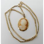 A yellow metal shell cameo together with a 9ct fancy curb chain length 41cm, weight 8gms Condition