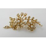 A 15ct gold pearl set flower brooch length 5.5cm, weight 7.8gms Condition Report: Available upon