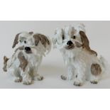 A PAIR OF SAMSON MEISSEN STYLE BOLOGNESE TERRIERS after J.J. Kaendler, each with painted brown fur