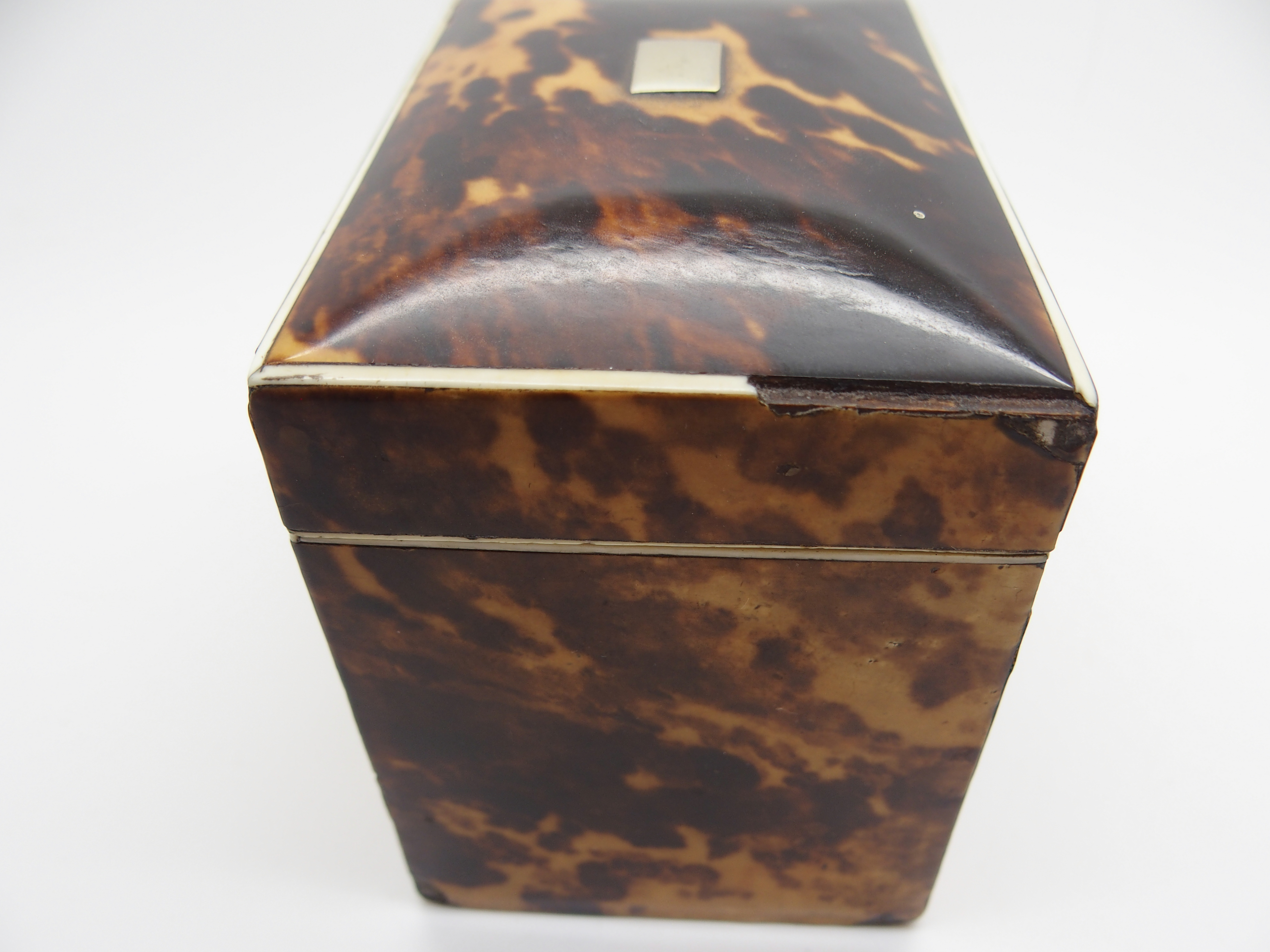 A REGENCY TORTOISESHELL TEA CADDY of rectangular form, with hinged lid with single lidded - Image 5 of 11