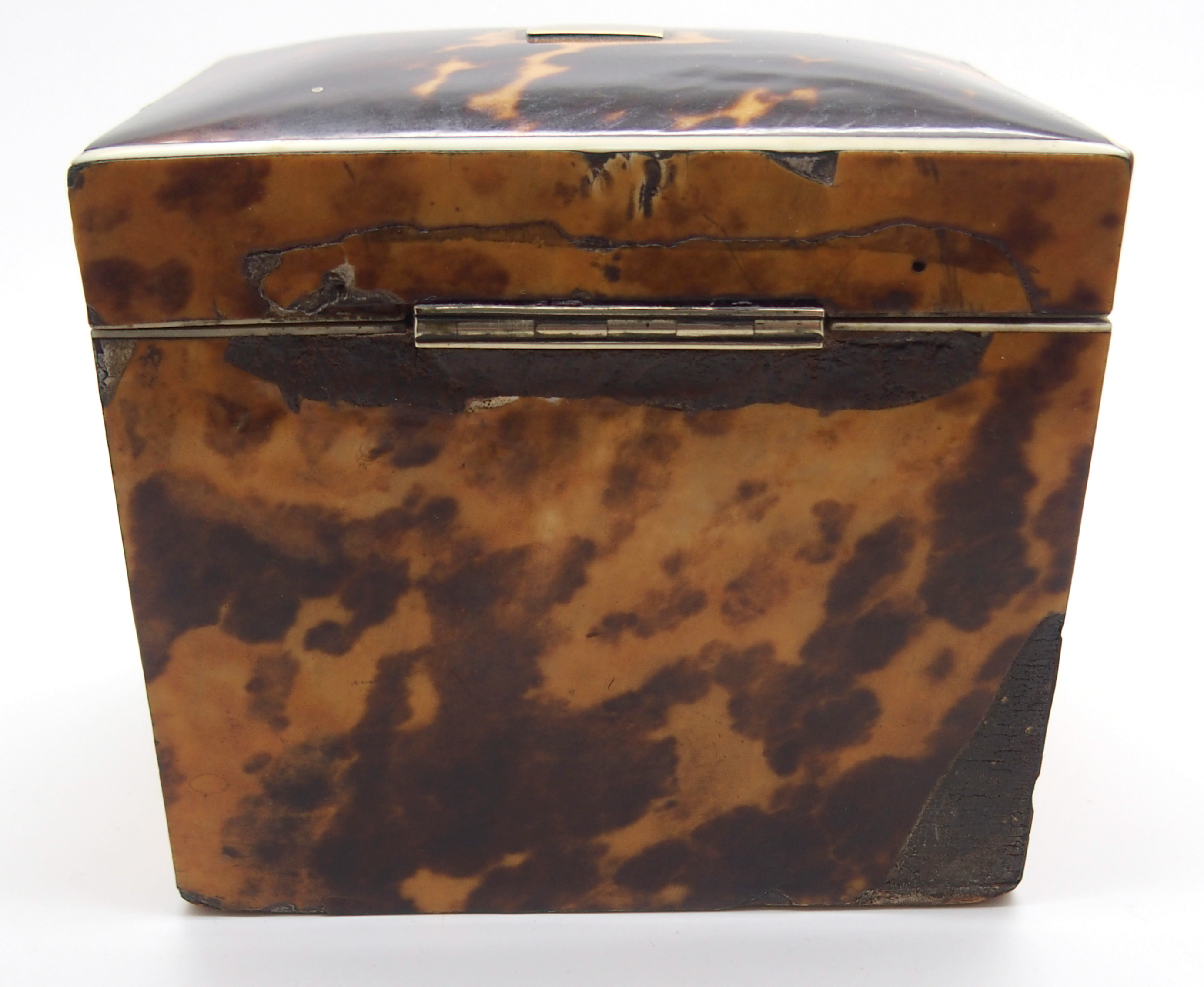 A REGENCY TORTOISESHELL TEA CADDY of rectangular form, with hinged lid with single lidded - Image 7 of 11