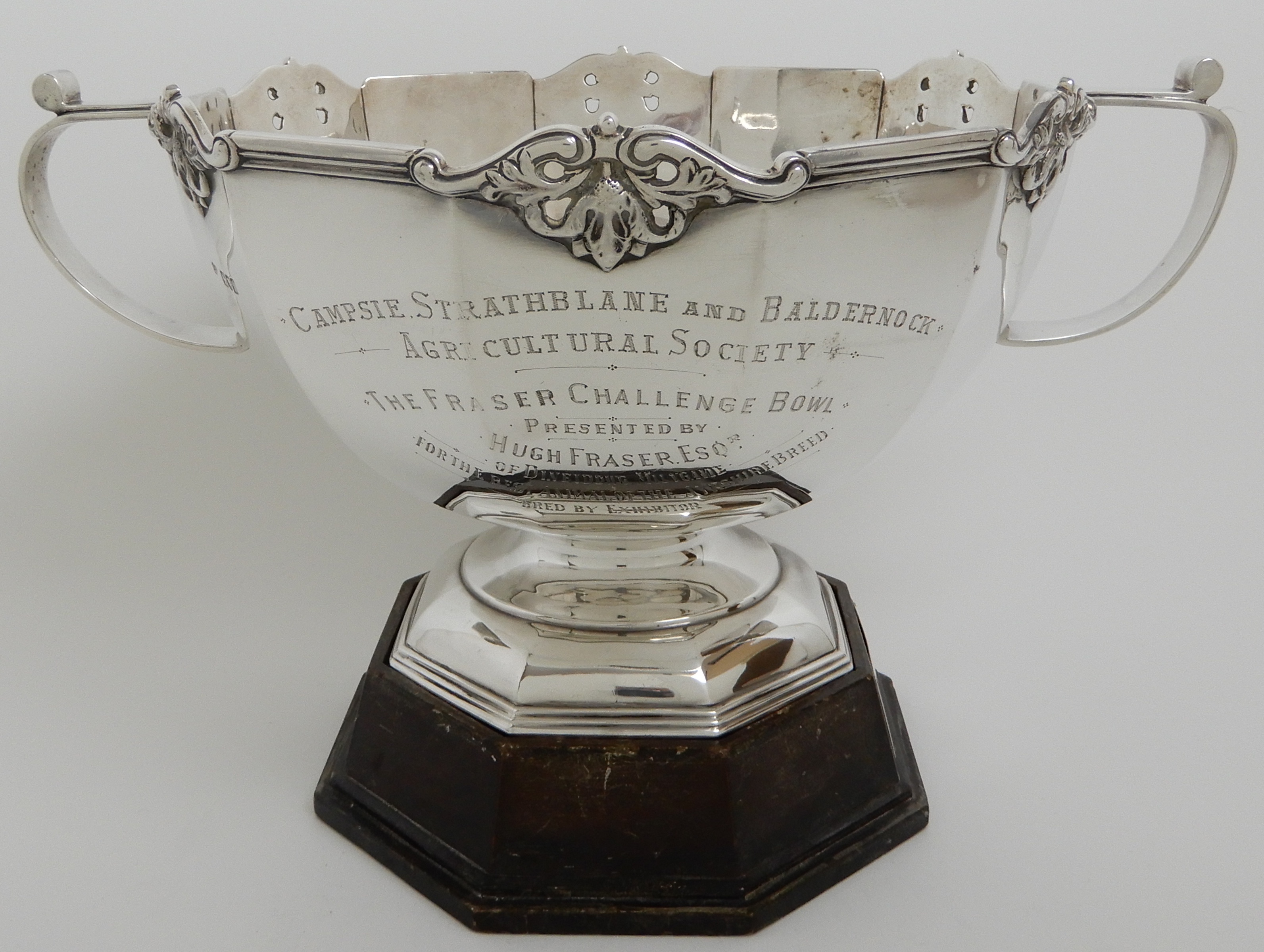 A SILVER TROPHY PUNCH BOWL by Carrington & Company, London 1911, of dodecagon form with six - Image 14 of 15