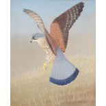 •RALSTON GUDGEON RSW (SCOTTISH 1910-1984) GAME BIRD IN FLIGHT; 'AT THE LEK', BLACK GAME