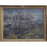 DONALD M SHEARER The Burn, signed, oil on canvas, 45 x 60cm and R WITCHARD Winter landscape, signed,