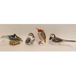 Four Royal Crown Derby paperweights including Baby Bottlenose Dolphin, Pied Wagtail, Kingfisher