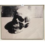 AFTER DAMIAN HIRST Skull, print on canvas, 48 x 60cm and another (2) Condition Report: Available