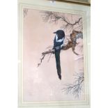 DAVID ORD KERR Magpie on a pine tree, signed, watercolour and gouache, 68 x 49cm Condition Report: