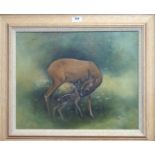 SCOTTISH SCHOOL Roe deer and calf, signed, acrylic, dated, 1987, 40 x 49cm Condition Report: