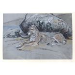 JOHN MURRAY THOMSON RSA, RSW Irish wolfhound, watercolour, 36 x 53cm Condition Report: Available