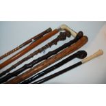 Six various walking canes including root wood example and riding crop (7) Condition Report: