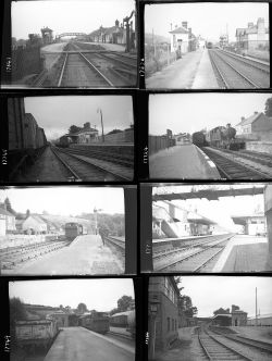 Approximately 40, medium format negatives. Includes stations and sheds at Cardigan, Glasbury,