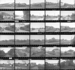 Approximately 69, 35mm negatives. Includes Savernake, Yeovil, Chard and Lyme Regis etc taken in July