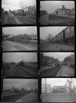 Approximately 46, medium format negatives. Includes mostly Coaches at Verney Jct, Bridport,