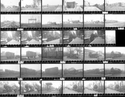 Approximately 81, 35mm negatives. Includes Wolverton, Longmoor, Clapham Jct, Marylebone, and Great