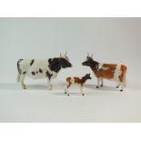 A family group of three Beswick Ayrshire cattle