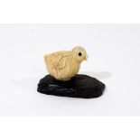 A Japanese carved ivory study of a chick