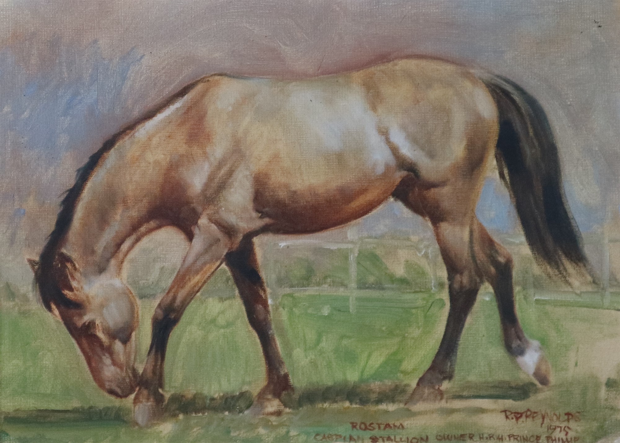 Roy Peter Rey, horse portrait