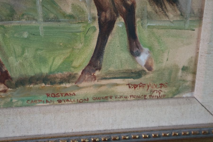 Roy Peter Rey, horse portrait - Image 3 of 4
