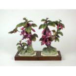 A pair of Royal Worcester models of Ruby-Throated Hummingbirds on Fuschia