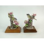 A pair of Royal Worcester models of Red-Eyed Vireos