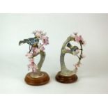 A pair of Royal Worcester models of Myrtle Warblers