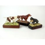 Three Royal Worcester models of Sporting Dogs